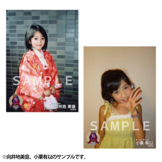 AKB48 15周年記念 豪華生写真セット～きみが好きなカコ、ぼくが作る