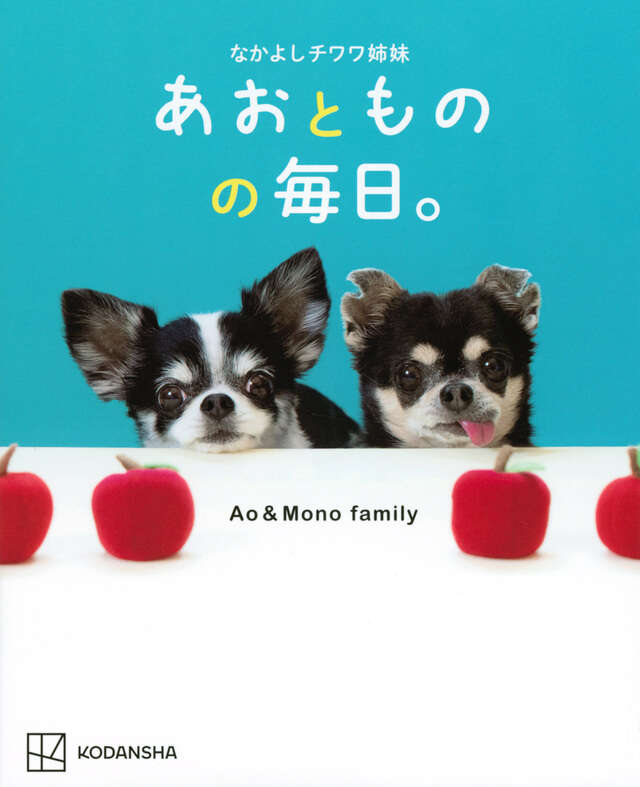 なかよしチワワ姉妹 あおとものの毎日。』（Ao＆Mono