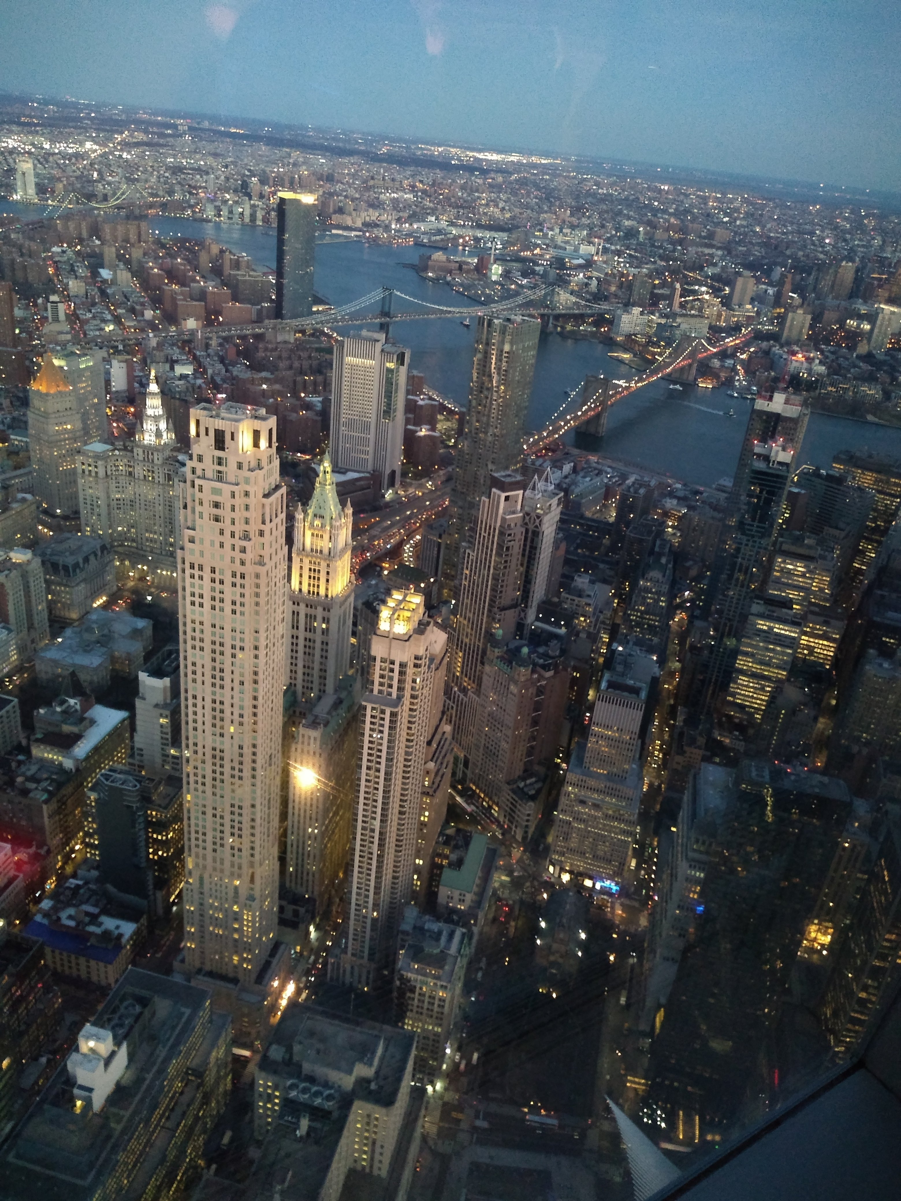 citysights-ny.jpg?w=1100&h=