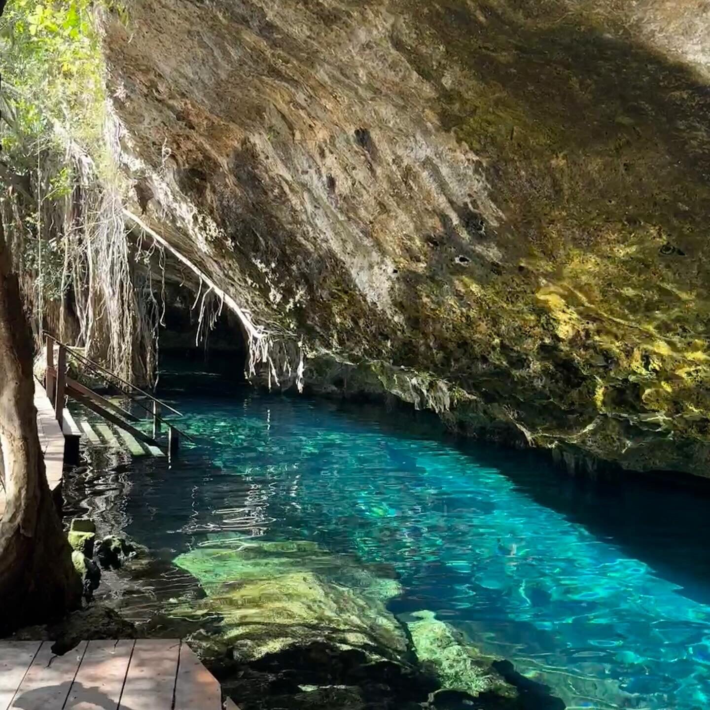 Cenote Nohoch (2026) - All You MUST Know Before You Go (w/ Reviews)