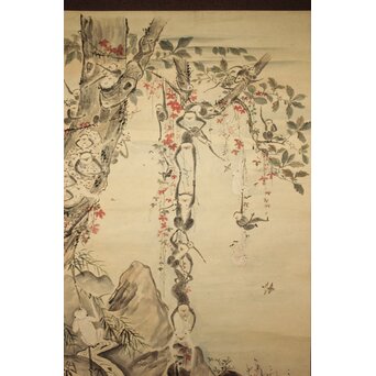 狩野探幽意 石舟筆 群猿図 紙本掛軸 Z939｜骨董店 のびる 古美術 骨董