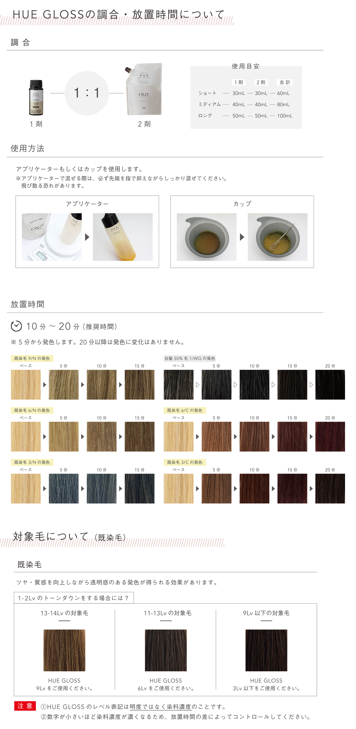 HUE ヘアカラーセット グロスカラー hunt まとめ売り WELLBEING EC ONLINE 【 ヒュウグロス 3／R(60mL レッド 3Lv): HUE