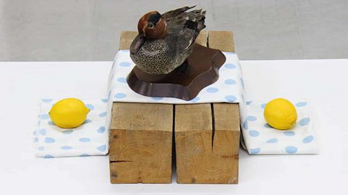 基本デッサン「カモの剥製のある静物」