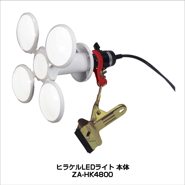 ZEFULS（ゼフルス）】ヒラケルLEDライト 本体 ZA-HK4800: |e431（いい