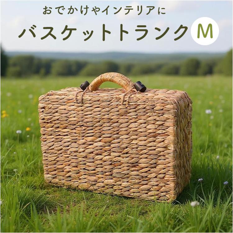 バスケット ピクニック 通販 Mサイズ カゴバスケット ウォーター