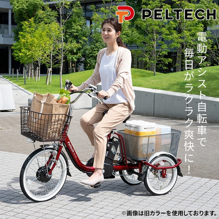 完成品]電動三輪車 20インチ TDR-163[直送][時間指定不可][代引不可