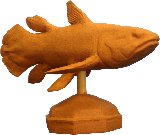 手作りエコ粘土魚フィギュア◇古代魚シーラカンス◇スタディフィギュア