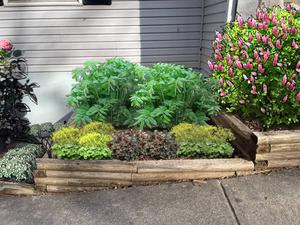 GardenPuzzle - community projects
