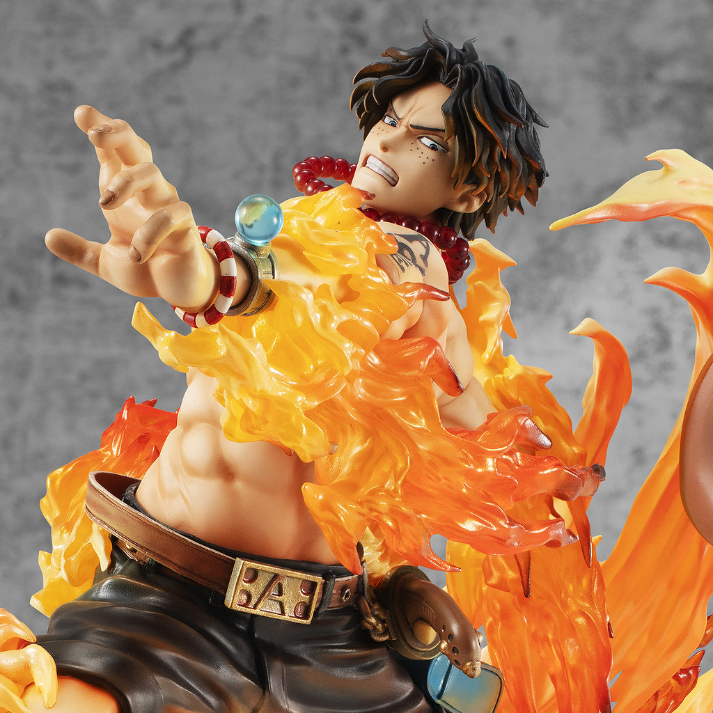 Portrait.Of.Pirates: ONE PIECE 