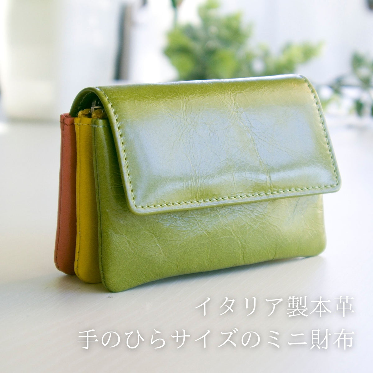 ミニ財布 モネ Mone （アップルグリーン・ソルイエロー・キティピンク