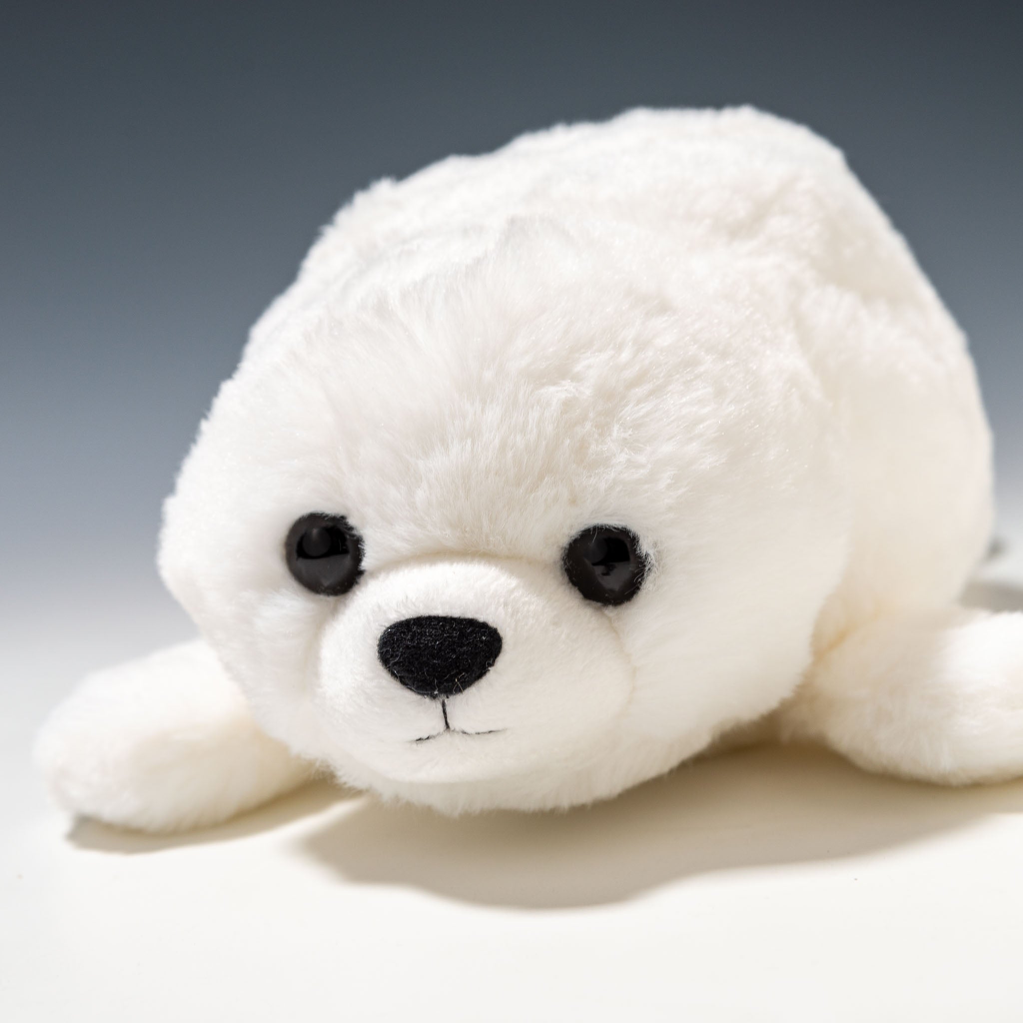 CUTE キュート販売 ぬいぐるみ マリンコレクション ふわふわアザラシ S