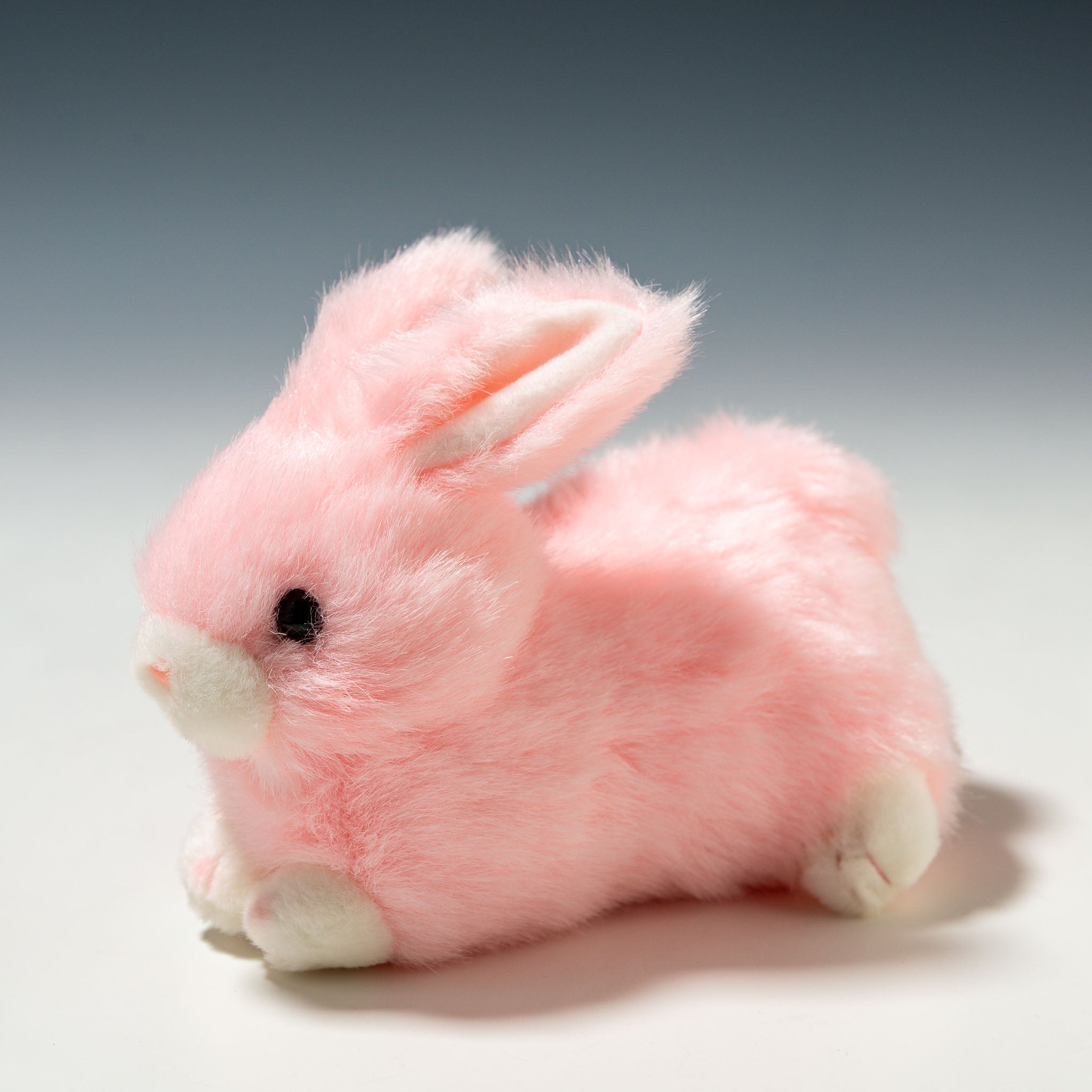 たけのこ TAKENOKO ぬいぐるみ プチどりーむ ミニ (A) ウサギ ピンク