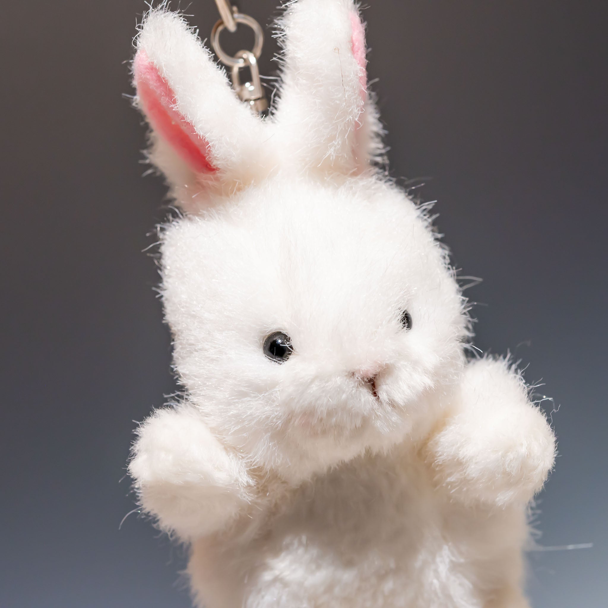 たけのこ TAKENOKO ぬいぐるみ プチ森のなかま ウサギ 白 68445