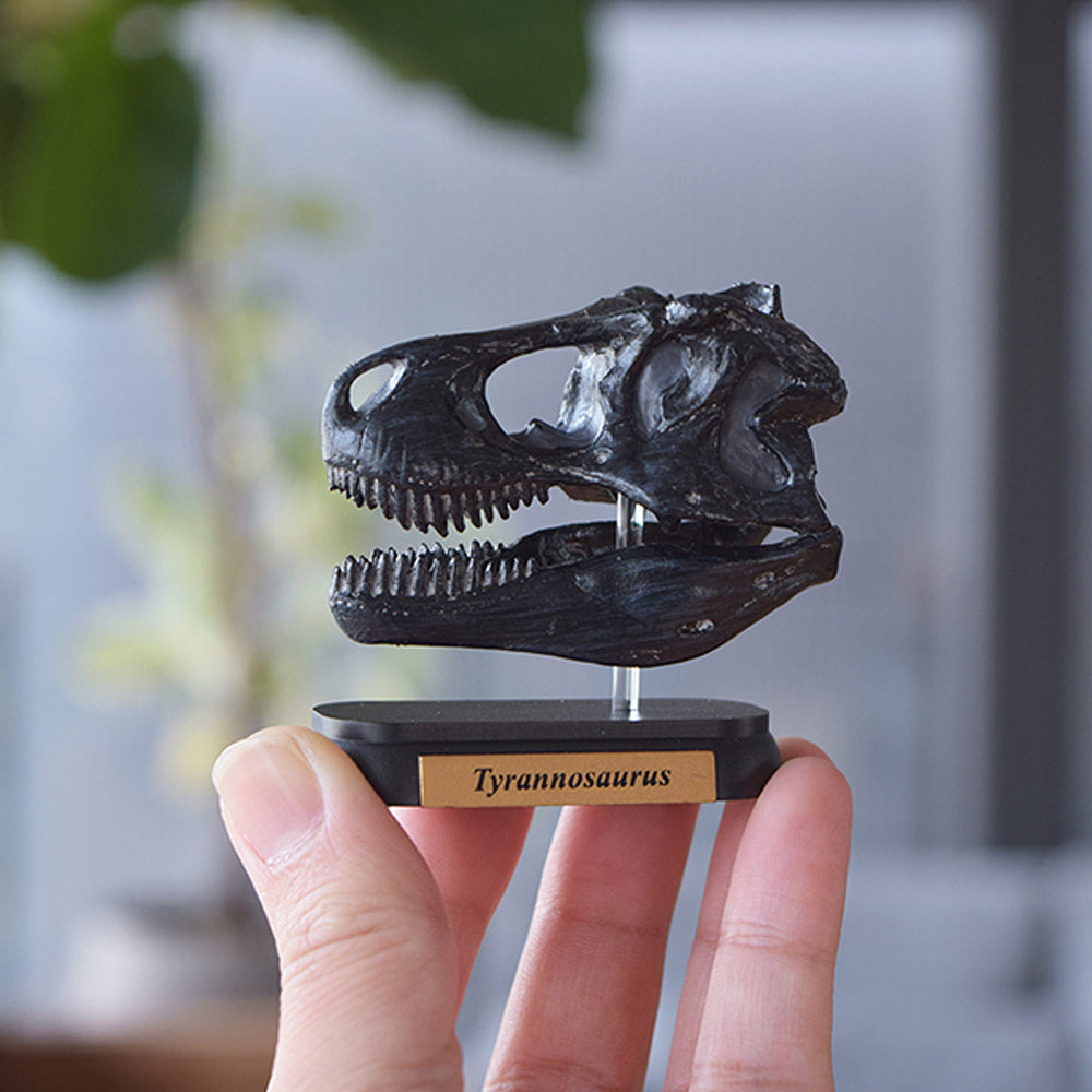 Favorite｜ダイナソースカルミニモデルセット｜手のひらに広がる太古の世界