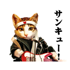 PUSH│ダウンロードページ