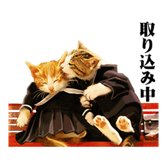 PUSH│ダウンロードページ