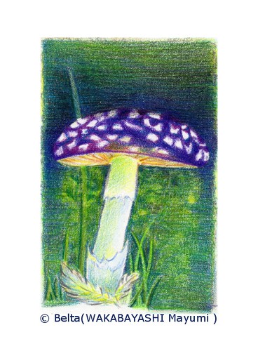 BeltaのColored Pencil Gallery 色鉛筆ギャラリー » 【色鉛筆画】 闇に