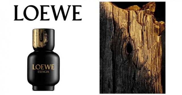 Esencia pour Homme Loewe 古龙水- 一款1988年男用香水