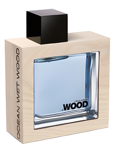 He Wood Ocean Wet Wood DSQUARED² cologne - a fragrance for men 2010