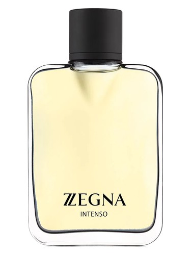 Zegna Intenso Ermenegildo Zegna cologne - a fragrance for men 2007