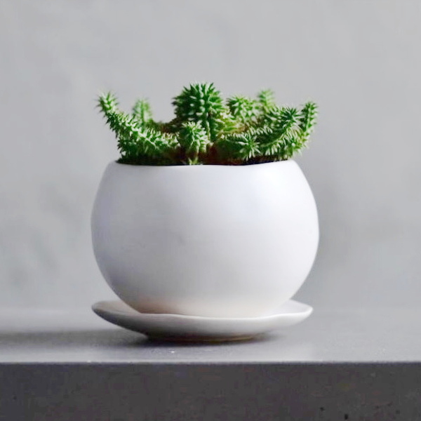 植木鉢 おしゃれ 陶器鉢 マリナS (B/W)＜ 8.5cm 3号 底穴あり 受け皿付