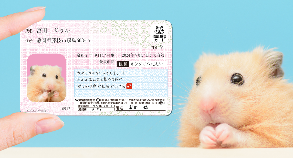 ハムナンバーカード】愛鼠用オリジナル身分証明書風グッズ、「ハム