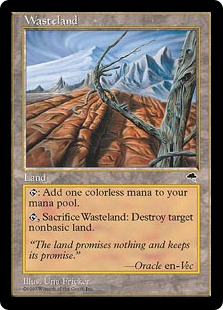 不毛の大地/Wasteland》[TMP] 土地U | 日本最大級 MTG通販サイト