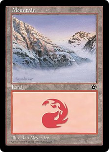 8406.jpg