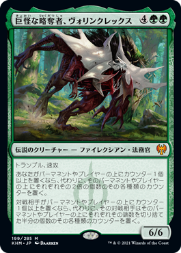 024)《大鎌猫の仔/Scythecat Cub》[J25] 緑R | 日本最大級 MTG通販