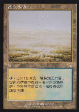溢れかえる岸辺/Flooded Strand》[ONS] 土地R | 日本最大級 MTG通販