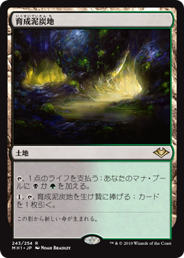 Foil】(243)《育成泥炭地/Nurturing Peatland》[MH1] 土地R | 日本最大