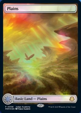 ジャッジ褒賞の商品検索 | 日本最大級 MTG通販サイト「晴れる屋」