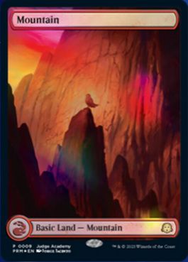 ジャッジ褒賞の商品検索 | 日本最大級 MTG通販サイト「晴れる屋」