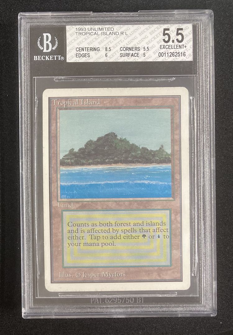 買取：《Tropical Island》[2ED] 土地R | 日本最大級 MTG通販サイト