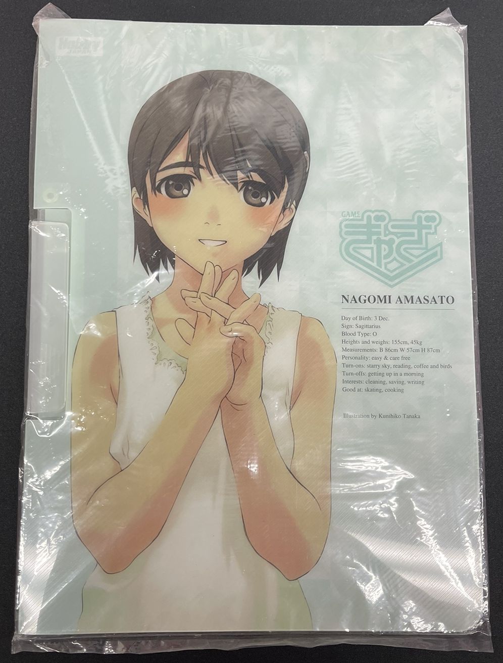 中古品】 ぎゃざガールクリップバインダー（天郷和美）① | 日本最大級