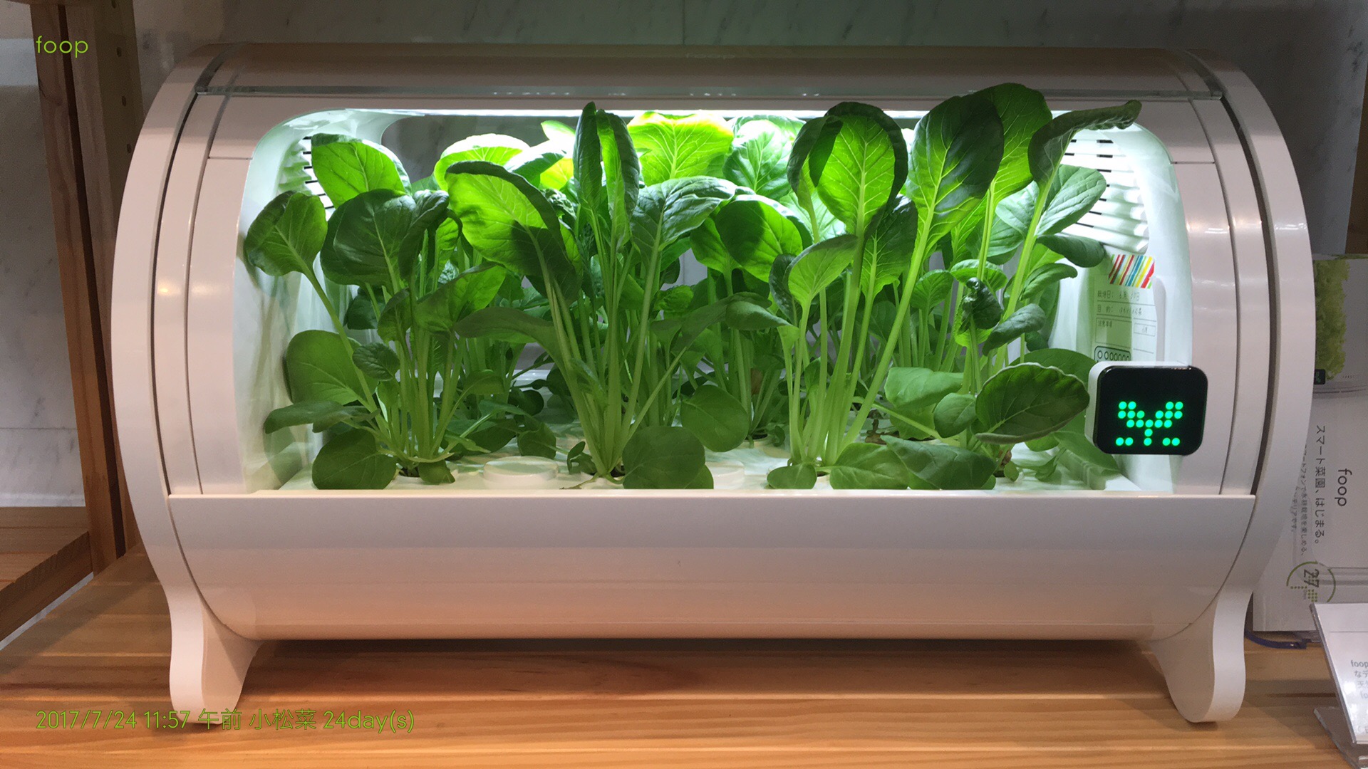 栽培ブログ「小松菜」 | IoT Hydroponic Machine「foop」