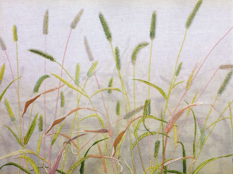 犬子草 エノコログザ Green foxtail