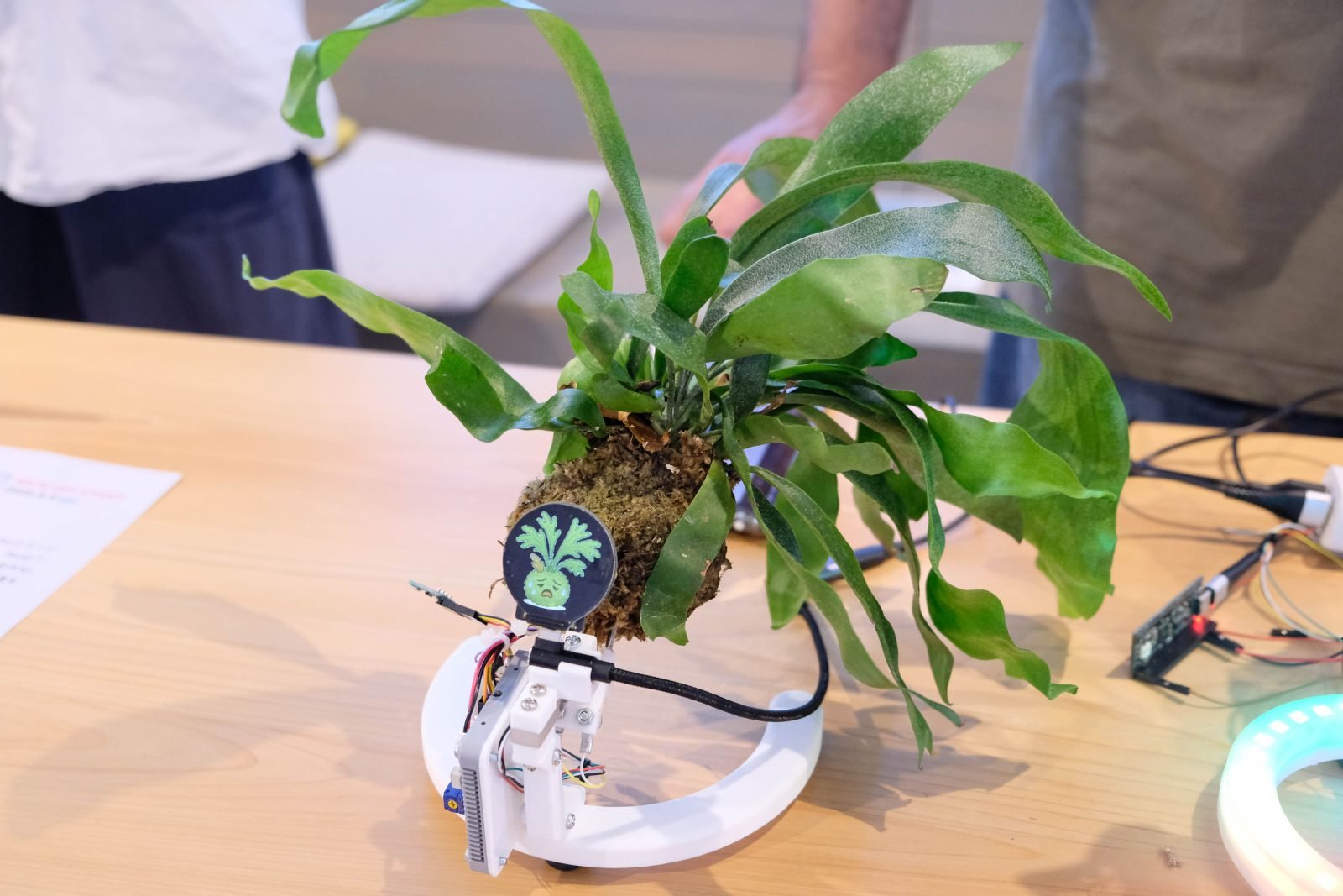 こんなものが欲しかった？「AIで植物を擬人化」に「料理を音で楽しむ