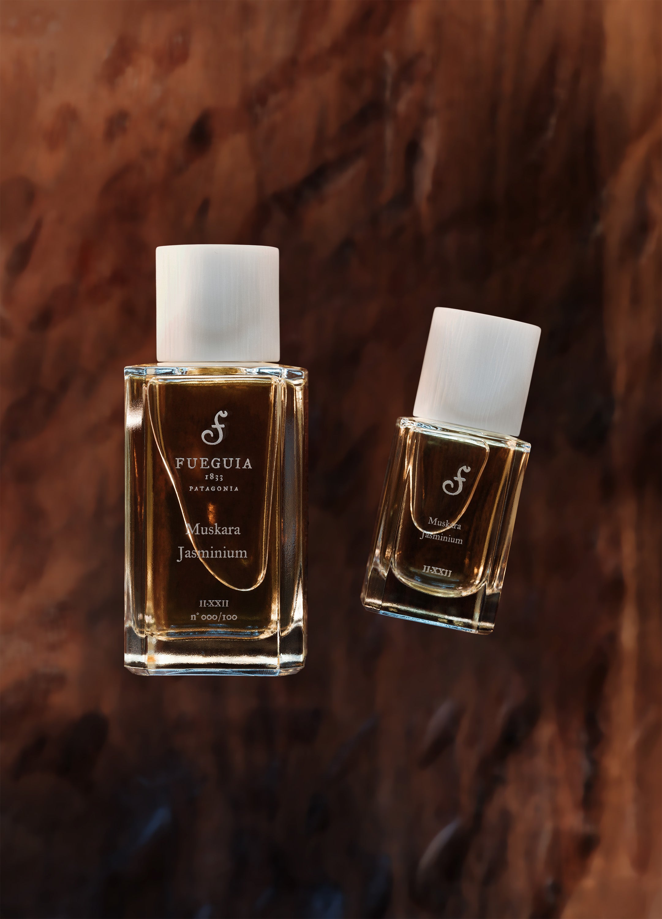 FUEGUIA 1833 | Muskara Jasminum｜ムスカラ ジャスミヌム – FUEGUIA