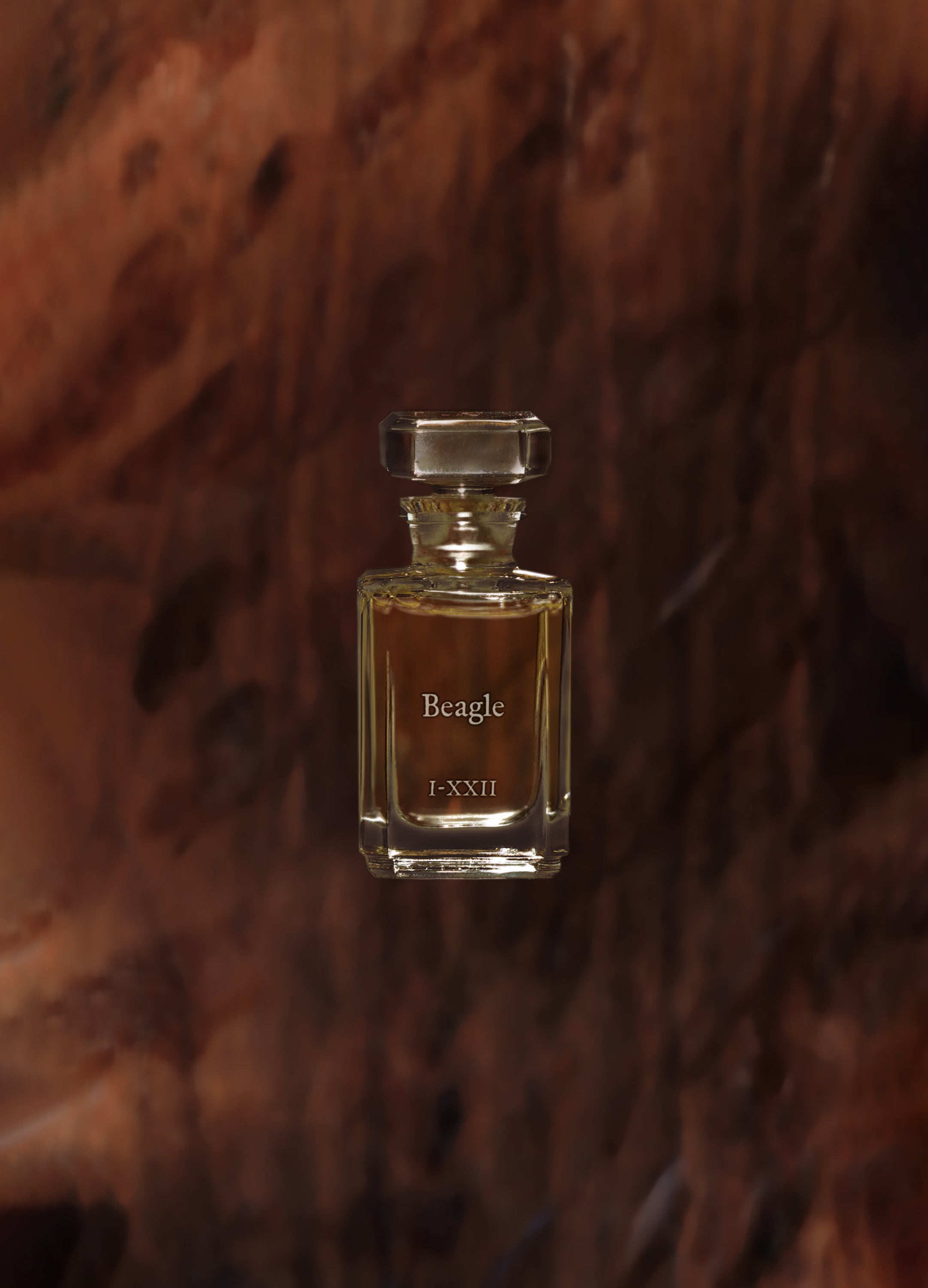FUEGUIA 1833 | Beagle｜ビーグル – FUEGUIA 1833 Japan Online
