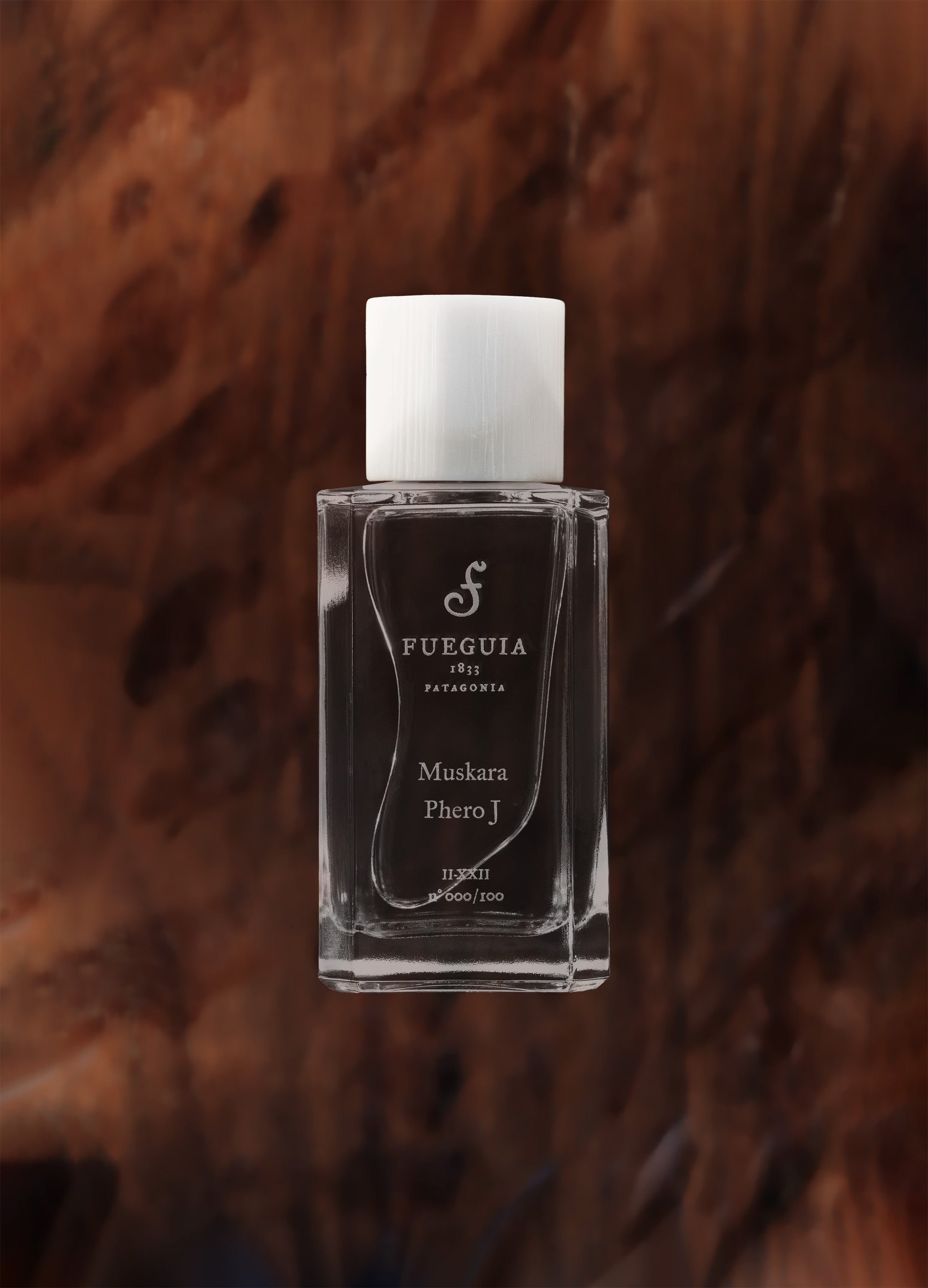 FUEGUIA 1833 | Muskara Phero J.｜ムスカラ フェロ ジェイ – FUEGUIA