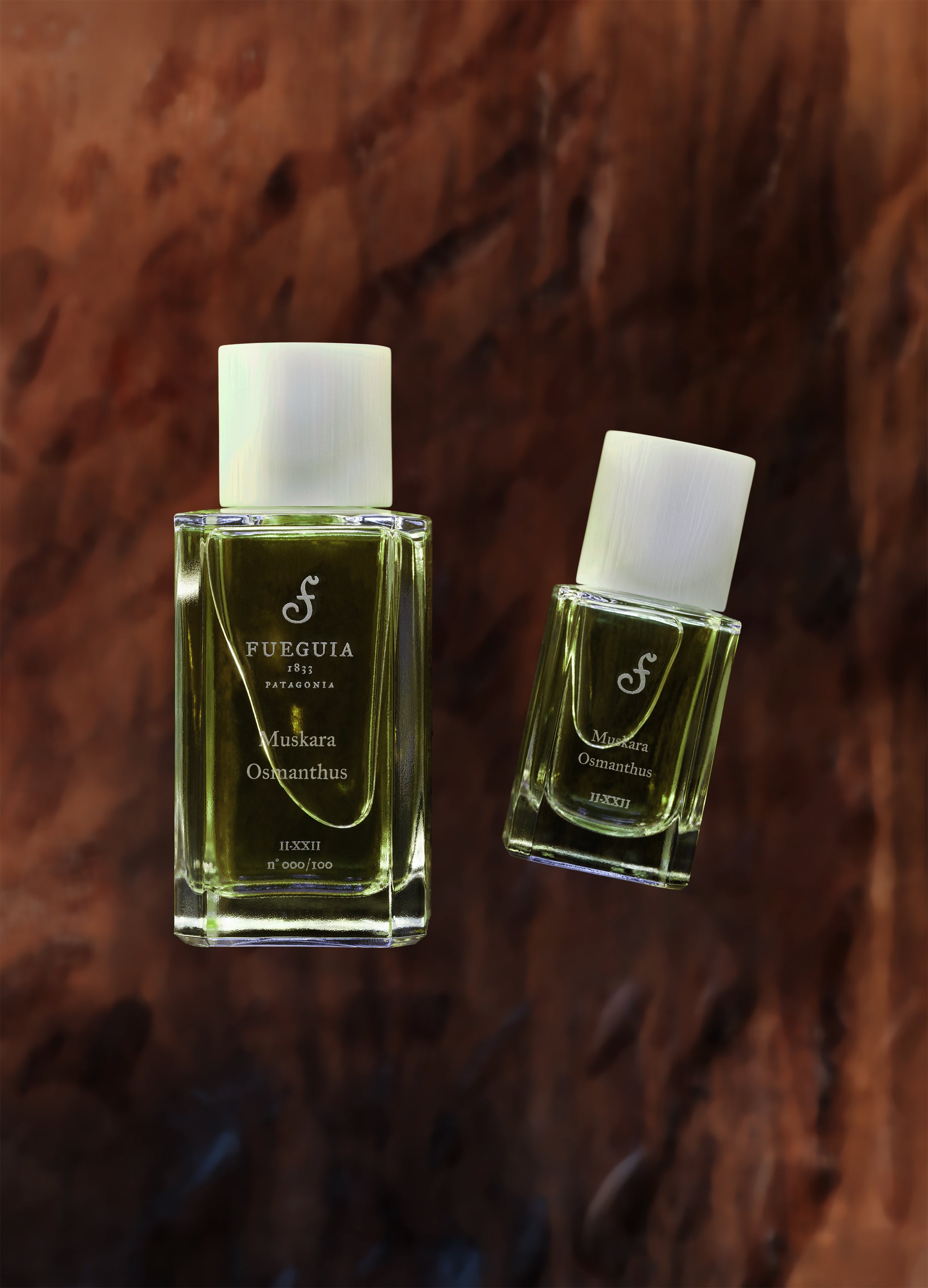 FUEGUIA 1833 | Muskara Osmanthus｜ムスカラ オスマントゥス