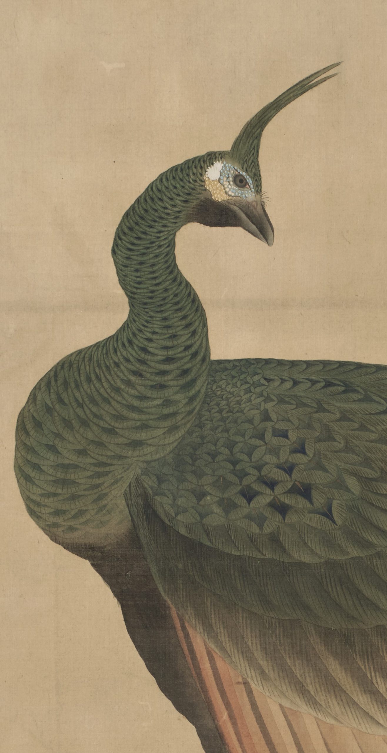奥文鳴筆「孔雀・白鶏図」双幅 - 藤美術
