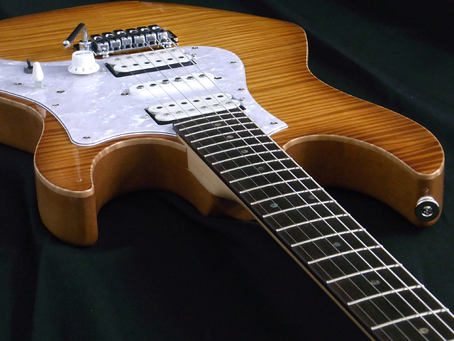 EXPERT-OS/FM Vintage Violin : Order Gallery - 過去のオーダー品