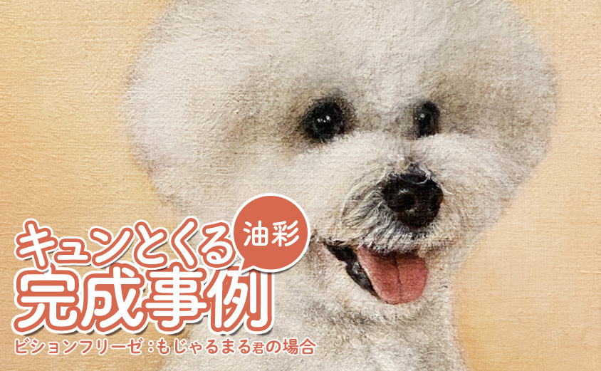 ペット肖像画 完成事例（油彩画）ビションフリーゼもじゃるまる君