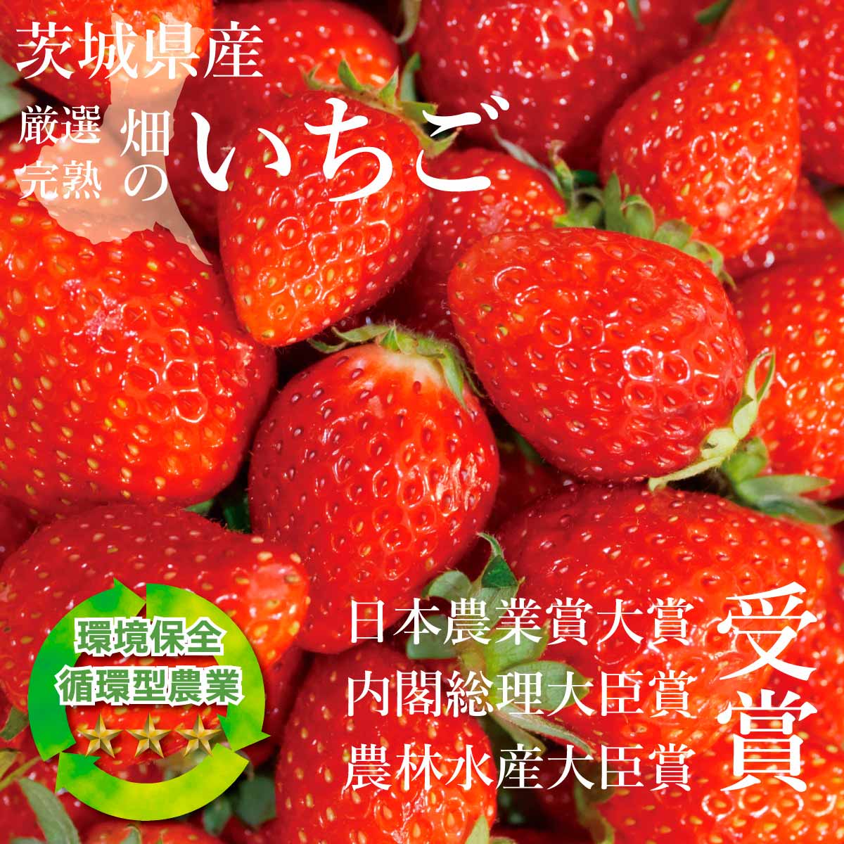 いちご ラブソング（紅ほっぺ）プレミアムパック 3Lサイズ×4パック