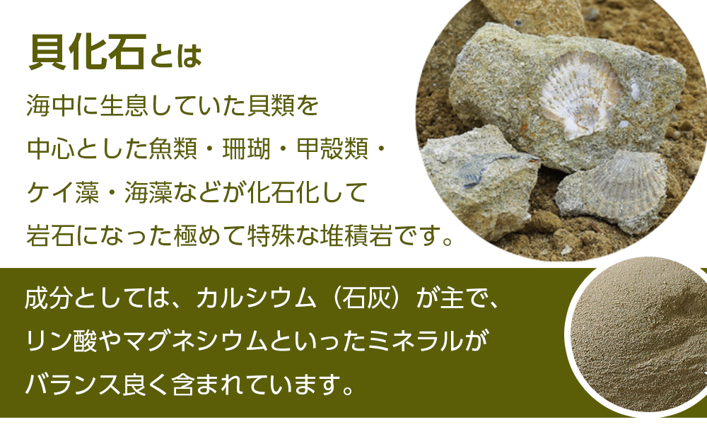肥料 貝化石 20kg 2袋 土壌 改良 ミネラル 環境｜ふるラボ