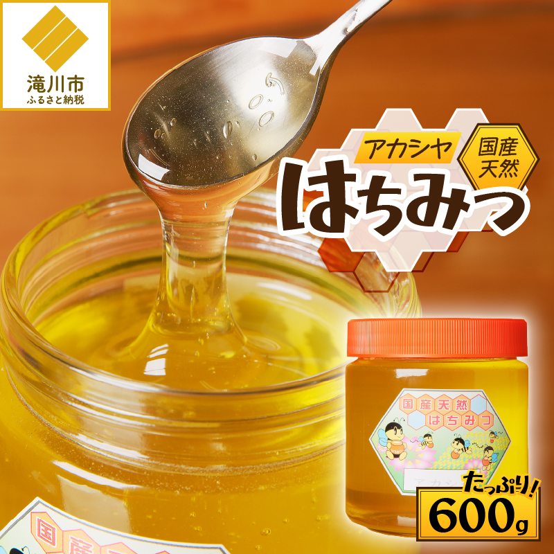 n234 ＜数量限定＞南国種子島産！日本みつばちのはちみつ(300g)【ひさ