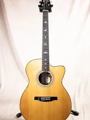 Taylor 114ce ES2 テイラー エレアコ アコースティックギター - 楽器の