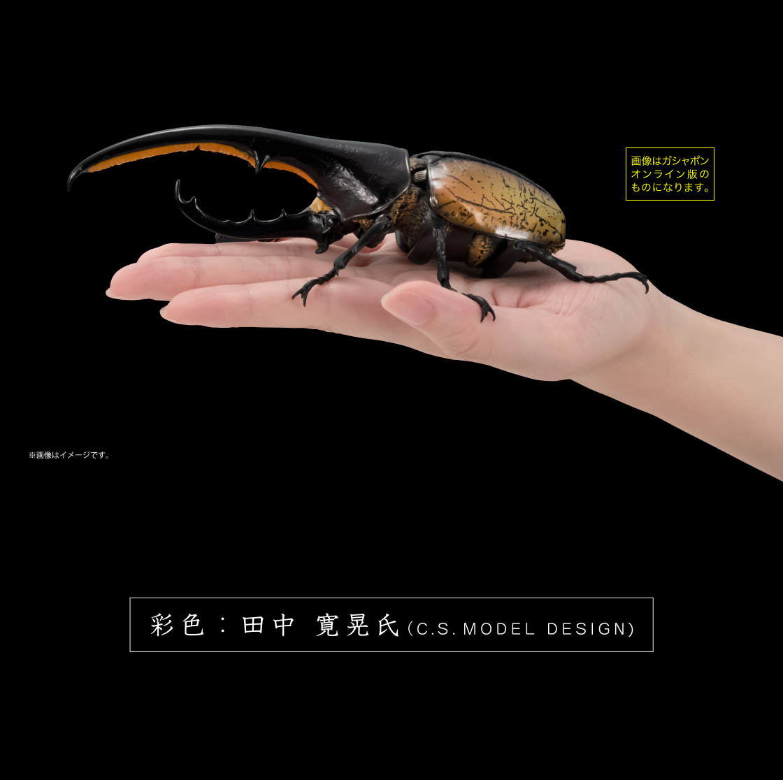 いきもの大図鑑アドバンス ヘラクレスオオカブト｜いきもの大図鑑